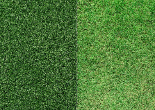 Artificial Grass vs Real Grass: Which is Best?