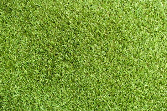 How Long Does Artificial Grass Last?