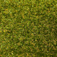 Aberdeen 15mm Artificial Grass Sample