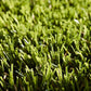 Rosemary 38mm Artificial Grass Sample - Tuda Grass