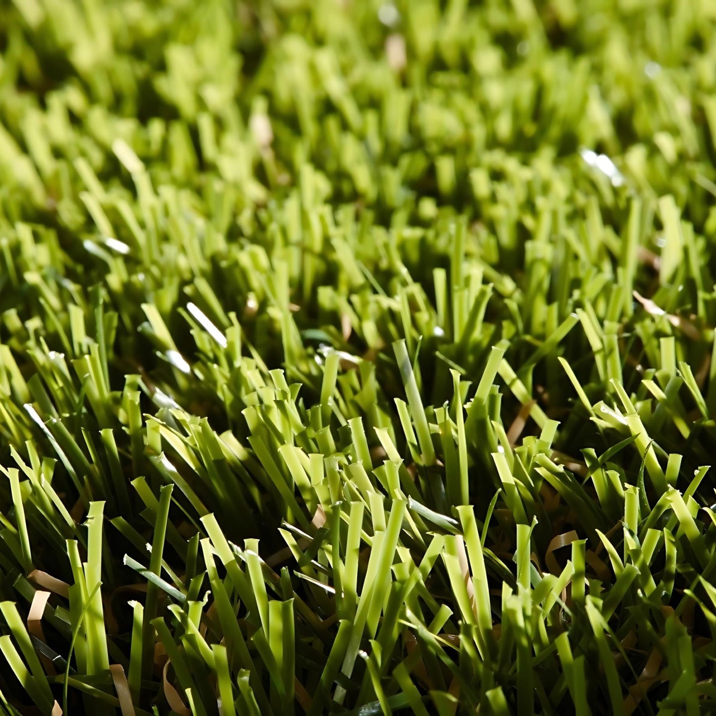 Rosemary 38mm Artificial Grass Sample - Tuda Grass